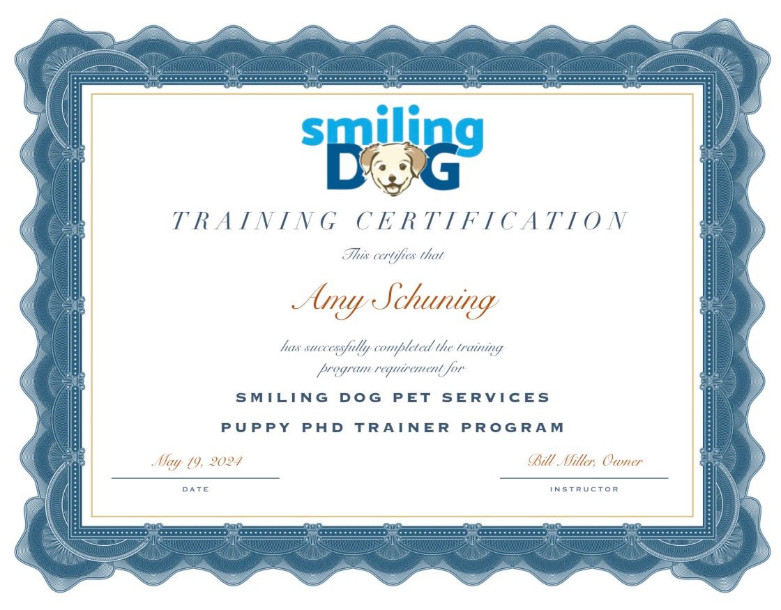 Training Certificate - Amy